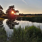 River Wey - towpaths and country river walks in Surrey