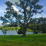 countryside in Worcestershire